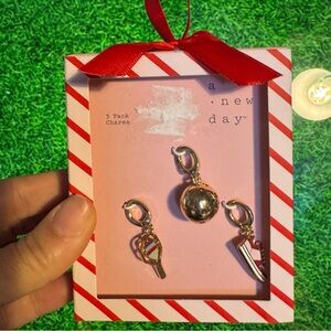 A New Day Pickle BallCharm Set